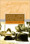 african_urban_ex_4aa5a53c62d793.jpg